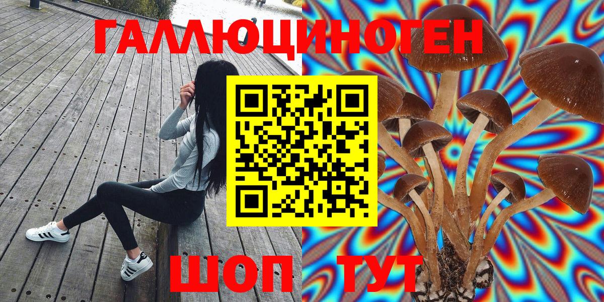 Псилоцибиновые грибы Psilocybine cubensis Тихорецк