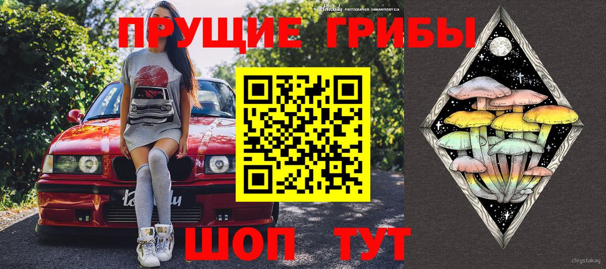 Тихорецк  Галлюциногенные грибы ЛСД  Вход с VPN 